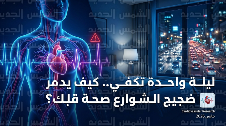 دراسة علمية حديثة تحذر من تضرر القلب والأوعية الدموية بسبب ضجيج الشوارع بعد ليلة واحدة فقط من التعرض له