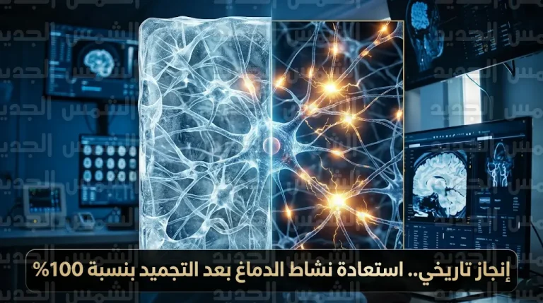نجاح علماء جامعة إرلانجن نورمبرج في استعادة النشاط الكامل للخلايا العصبية بعد تجميدها بالنيتروجين السائل