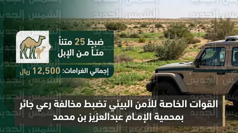 القوات الخاصة للأمن البيئي تضبط مواطناً وتغرمه 12500 ريال لرعي الإبل في محمية الإمام عبدالعزيز بن محمد الملكية