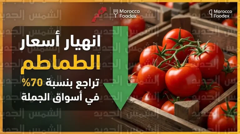 انكسار موجة غلاء الطماطم في المغرب وصندوق الجملة يهبط إلى 100 درهم بعد قرار وقف التصدير