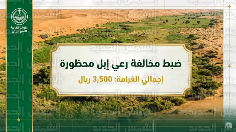 تغريم مواطن 3500 ريال لرعي 7 متون من الإبل في محمية الإمام عبدالعزيز بن محمد الملكية