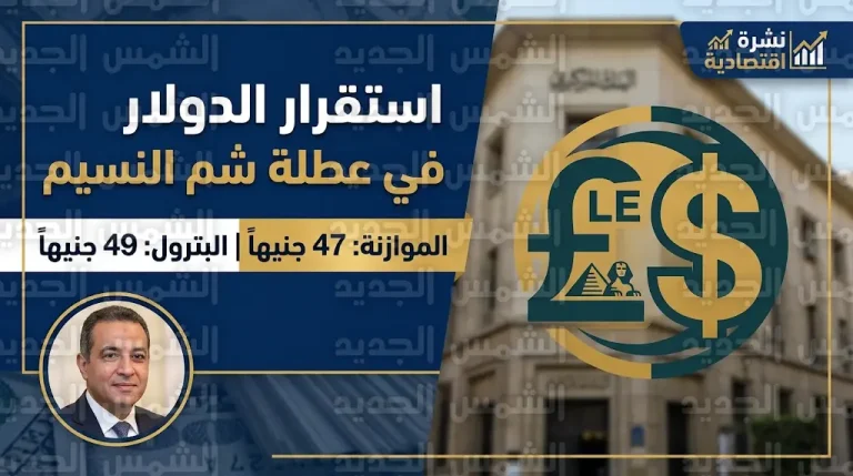 سعر الدولار اليوم في مصر الإثنين 13-4-2026 وتحوط حكومي في موازنة العام الجديد