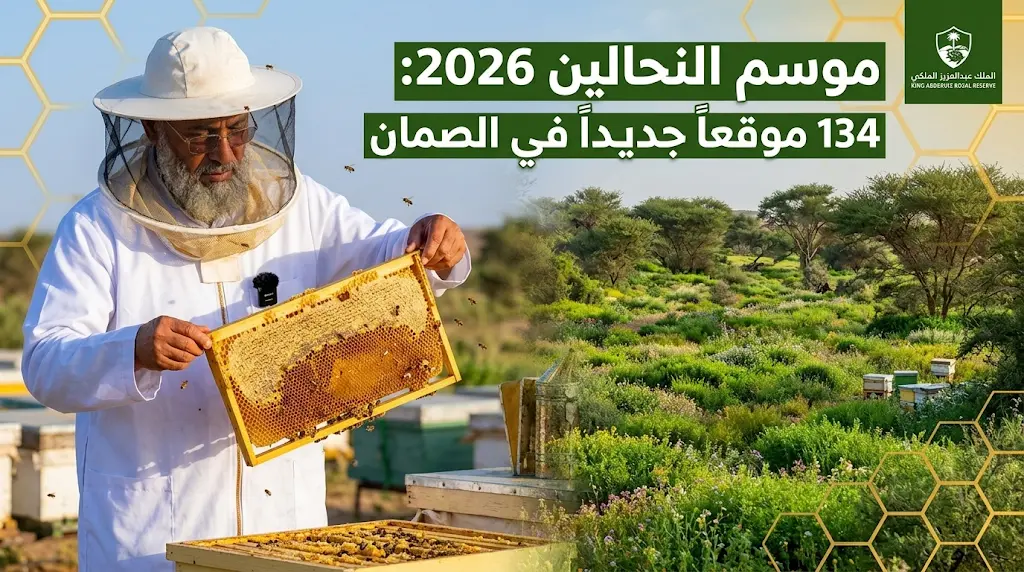 134 موقعاً جديداً في الصمان.. هيئة محمية الملك عبدالعزيز تدشن موسم النحالين 2026 وتفتح باب التسجيل الإلكتروني