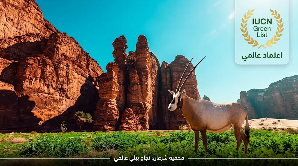 اعتماد عالمي لـ "شرعان العُلا".. تحسن ملحوظ في الغطاء النباتي وزيادة أعداد المها والوعل بفضل إجراءات الحماية.