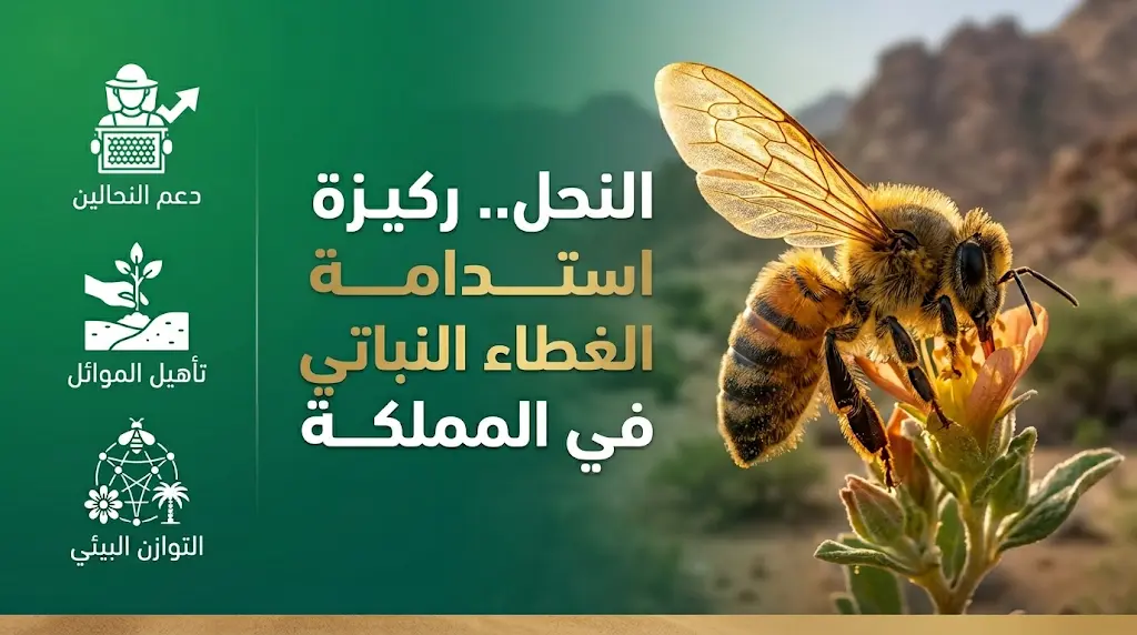 المركز الوطني لتنمية الغطاء النباتي يبرز دور النحل في تلقيح 75% من النباتات البرية لضمان استدامة التنوع الأحيائي