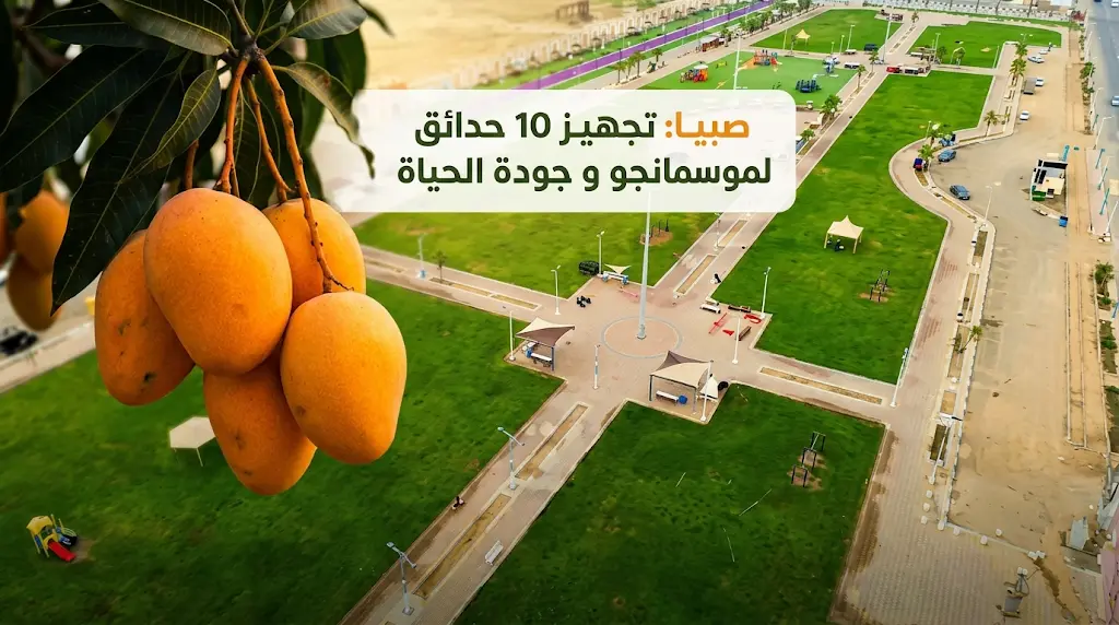 صبيا.. وجهة صيفية متكاملة: تجهيز 10 حدائق لدعم الحركة السياحية والارتقاء بجودة الحياة في موسم المانجو.