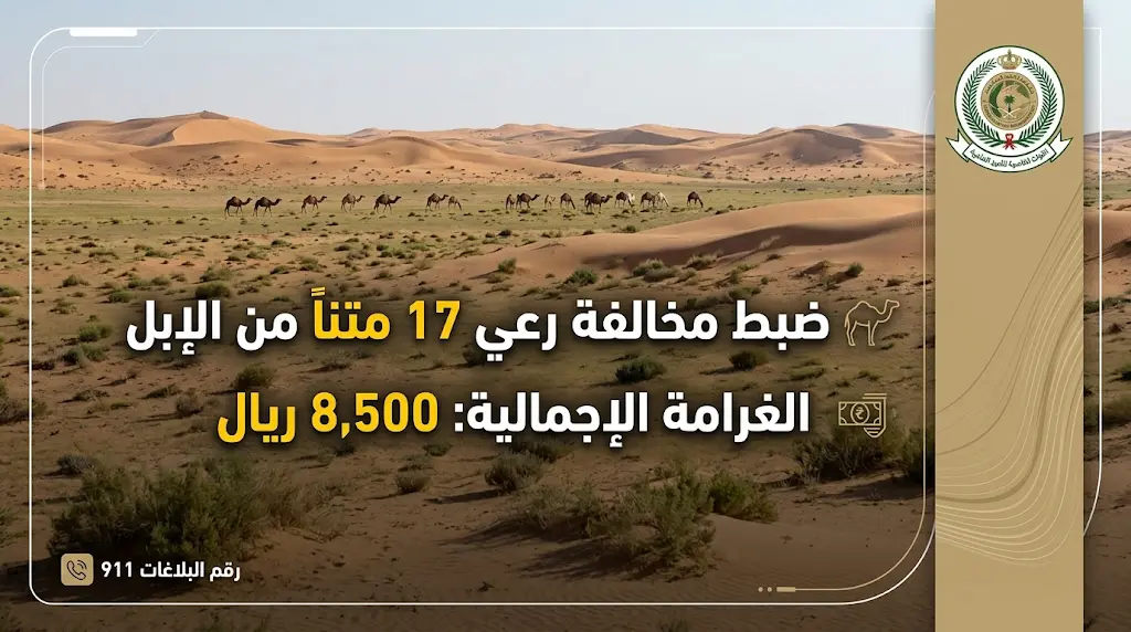 غرامتها 8500 ريال.. الأمن البيئي يضبط مخالفاً لرعي 17 متناً من الإبل في مواقع محظورة