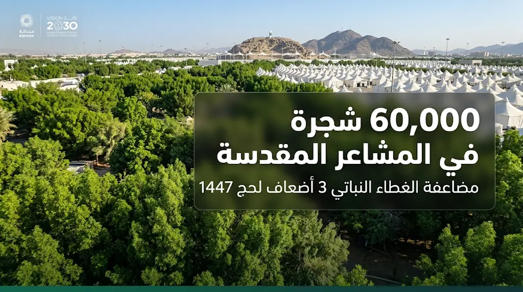 مضاعفة أعداد الأشجار 3 مرات في المشاعر المقدسة لتوفير الظل لضيوف الرحمن في حج 1447