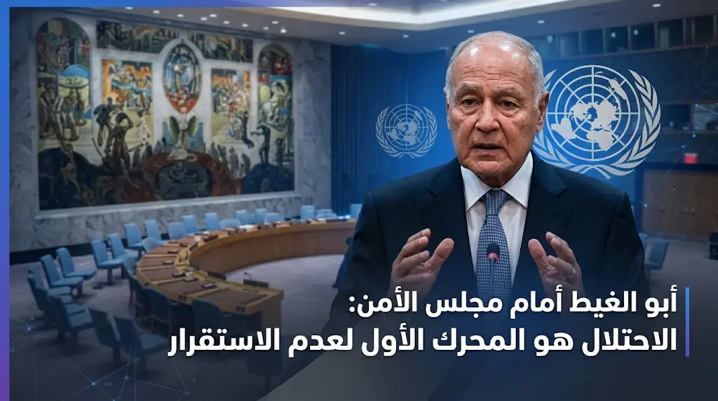 أبو الغيط يؤكد أمام مجلس الأمن أن الاحتلال الإسرائيلي هو المحرك الأول لعدم الاستقرار في المنطقة