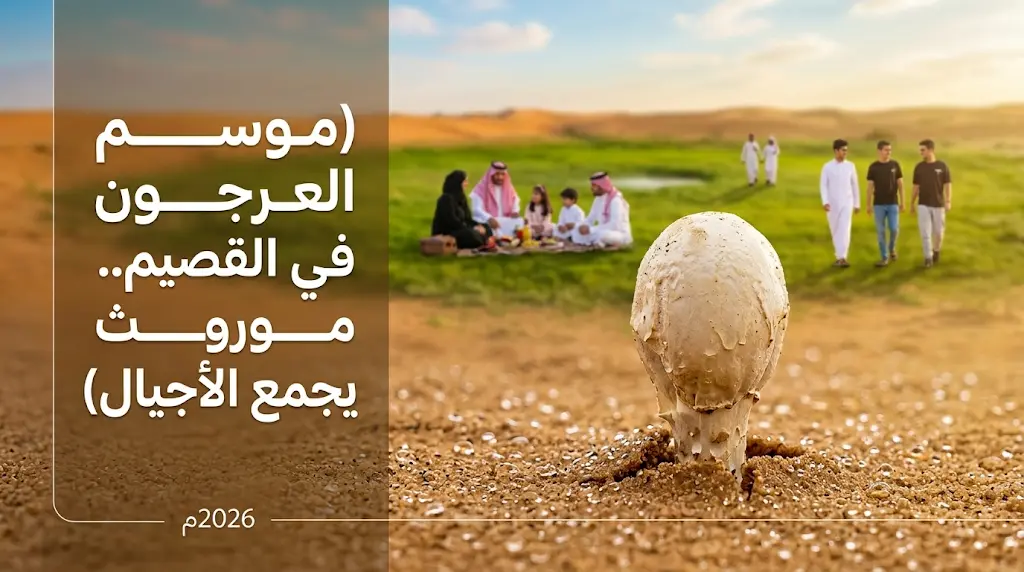البحث عن العرجون في القصيم موروث شعبي يجمع العائلات مع دليل شامل لتمييز الفطر الصالح