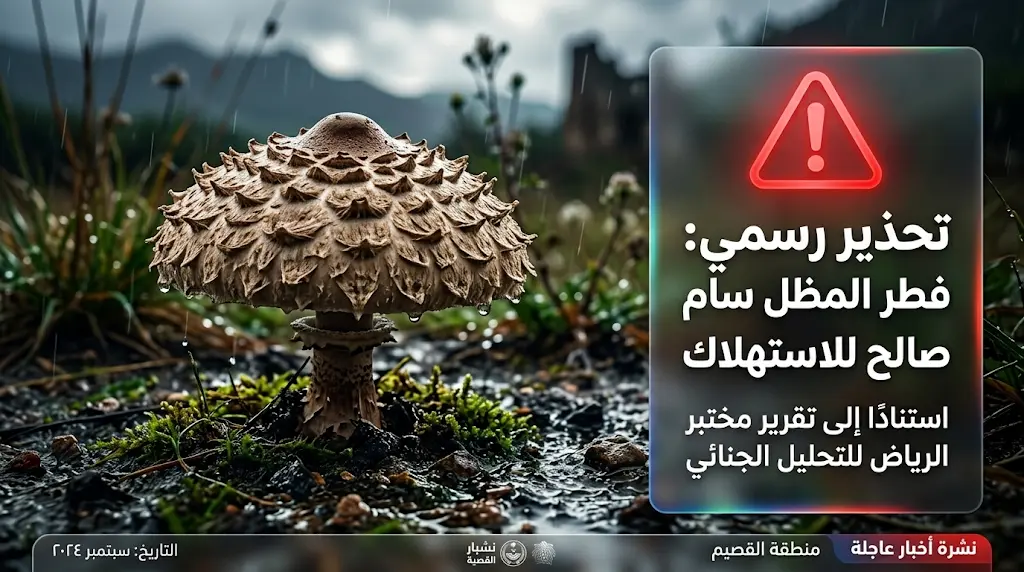 تحذير عاجل من فطر المظل السام.. المركز الوطني لتنمية الغطاء النباتي يرصد انتشاره في القصيم