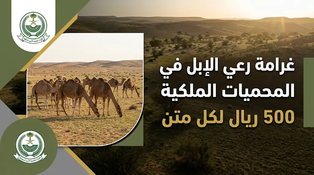 الأمن البيئي يضبط 8 متون من الإبل في مواقع محظورة ويحدد غرامات الرعي الجائر لعام 2026