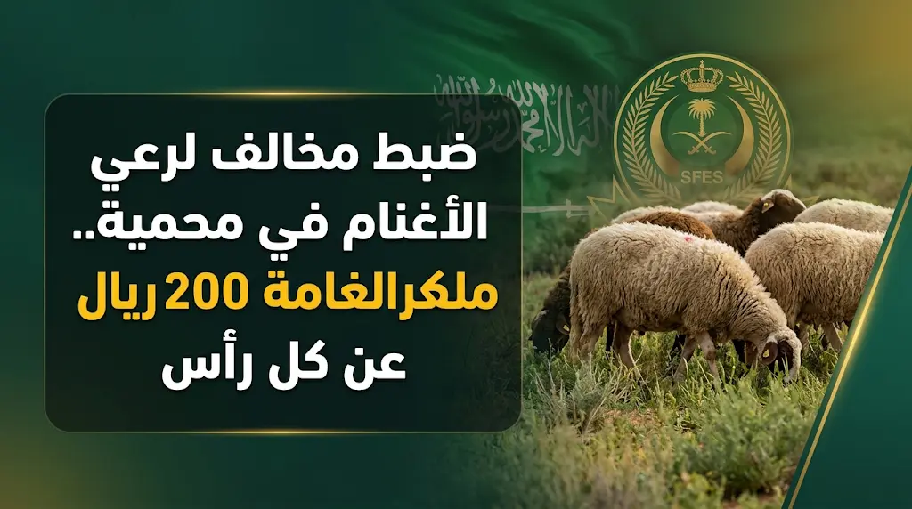 تغريم مواطن 3000 ريال لارتكابه مخالفة رعي الأغنام في محمية الإمام تركي بن عبدالله